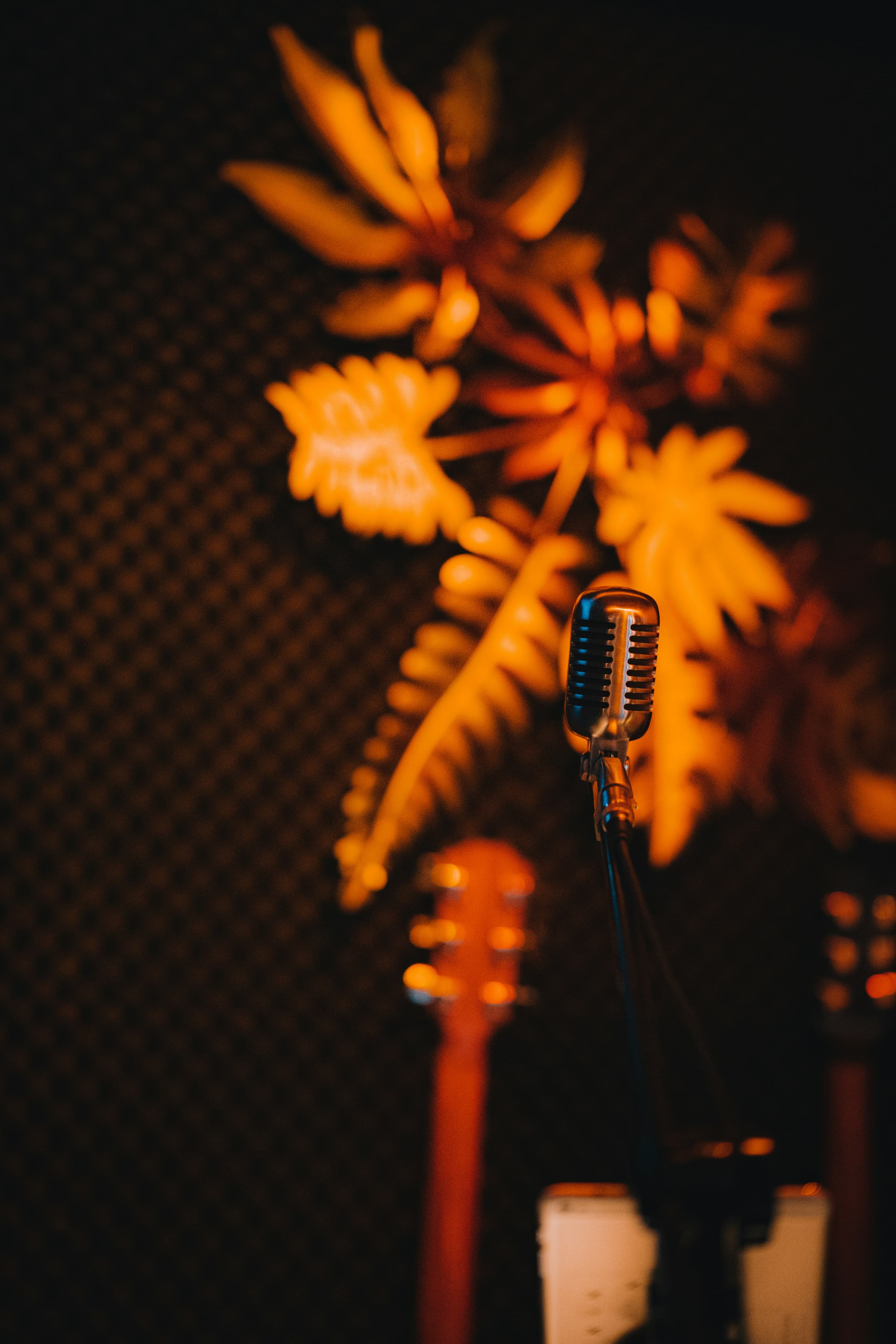 STUDIOS D'ENREGISTREMENT PROFESSIONNELS